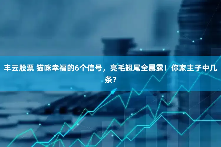丰云股票 猫咪幸福的6个信号，亮毛翘尾全暴露！你家主子中几条？