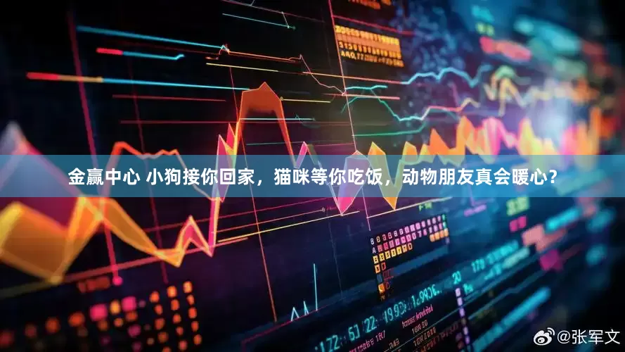 金赢中心 小狗接你回家，猫咪等你吃饭，动物朋友真会暖心？