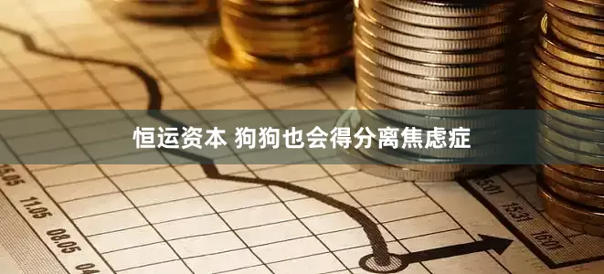 恒运资本 狗狗也会得分离焦虑症