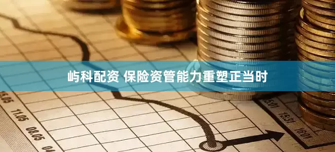 屿科配资 保险资管能力重塑正当时