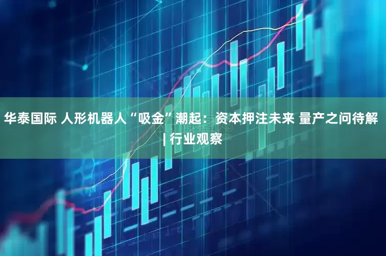 华泰国际 人形机器人“吸金”潮起：资本押注未来 量产之问待解 | 行业观察