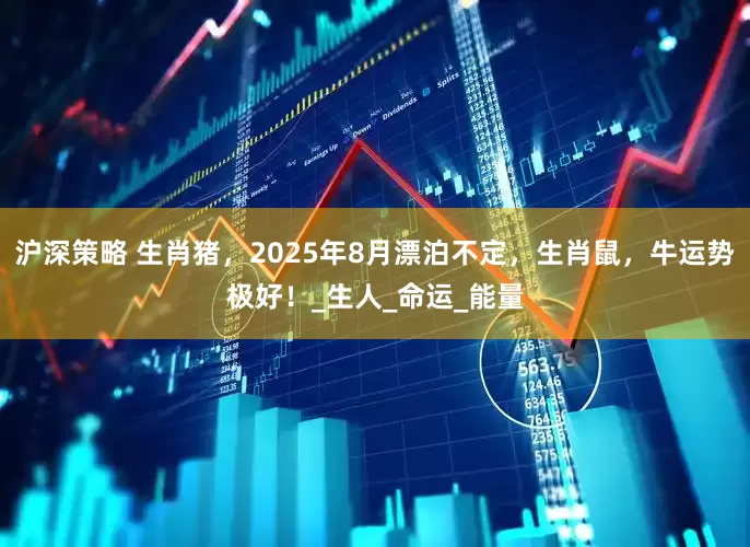 沪深策略 生肖猪，2025年8月漂泊不定，生肖鼠，牛运势极好！_生人_命运_能量