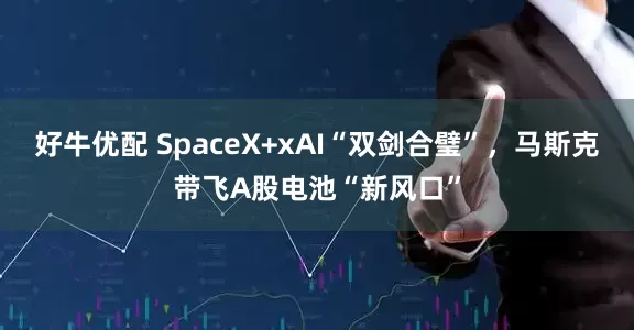 好牛优配 SpaceX+xAI“双剑合璧”，马斯克带飞A股电池“新风口”