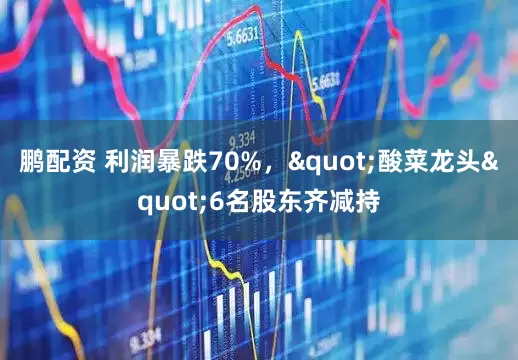 鹏配资 利润暴跌70%，"酸菜龙头"6名股东齐减持