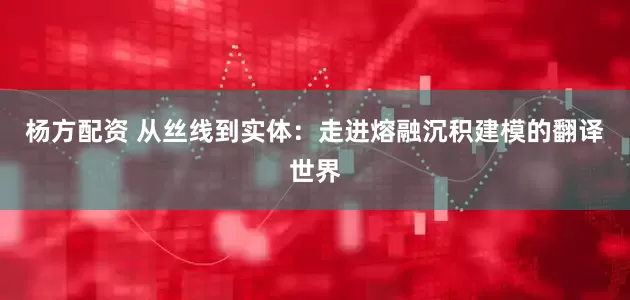 杨方配资 从丝线到实体：走进熔融沉积建模的翻译世界
